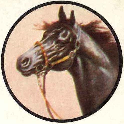 Cabecera principal