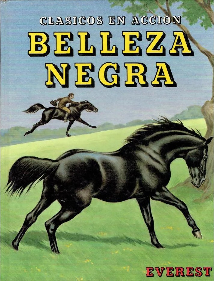 Portada de Belleza negra