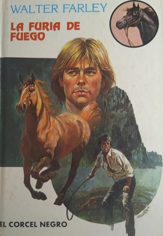 Portada de La furia de Fuego