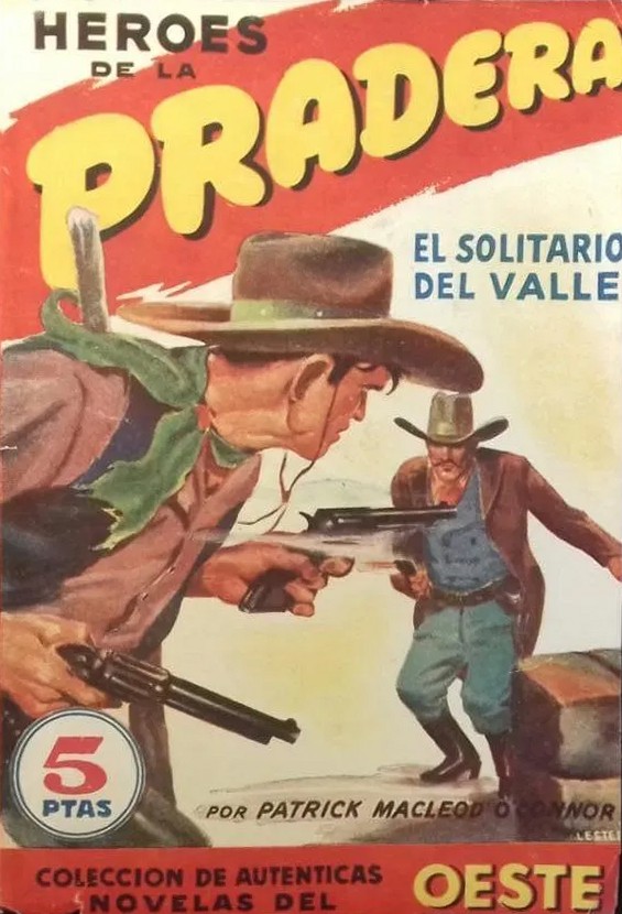 Portada de El solitario del valle